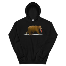 Load image into Gallery viewer, Bear + Salmon Adult Hoodie