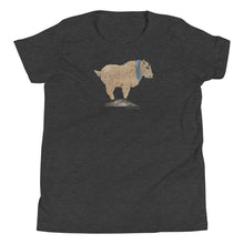 Load image into Gallery viewer, Cozy Mr. Mountain Goat Youth T-Shirt