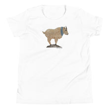 Load image into Gallery viewer, Cozy Mr. Mountain Goat Youth T-Shirt