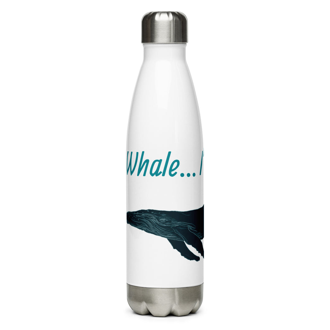 Stainless Steel Water Bottle