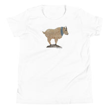 Load image into Gallery viewer, Cozy Mr. Mountain Goat Youth T-Shirt
